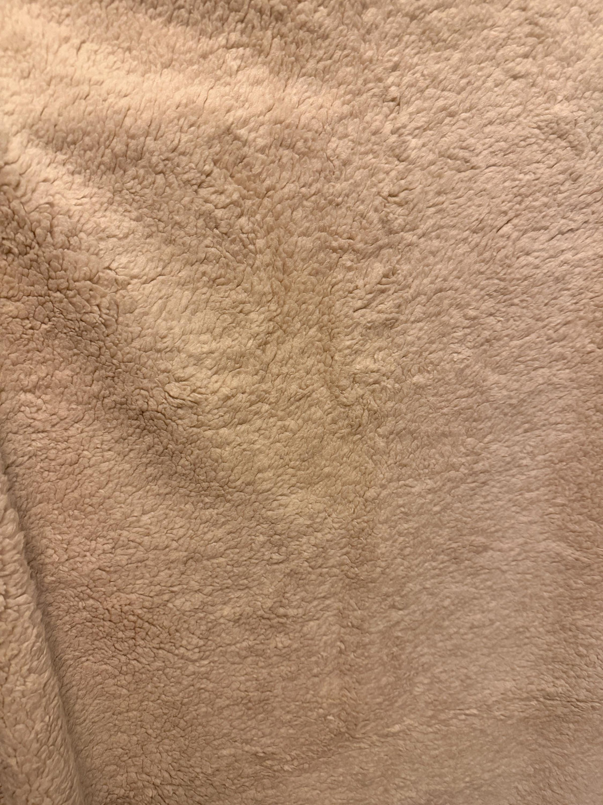 Floral Dragons Sherpa Blanket 50x60