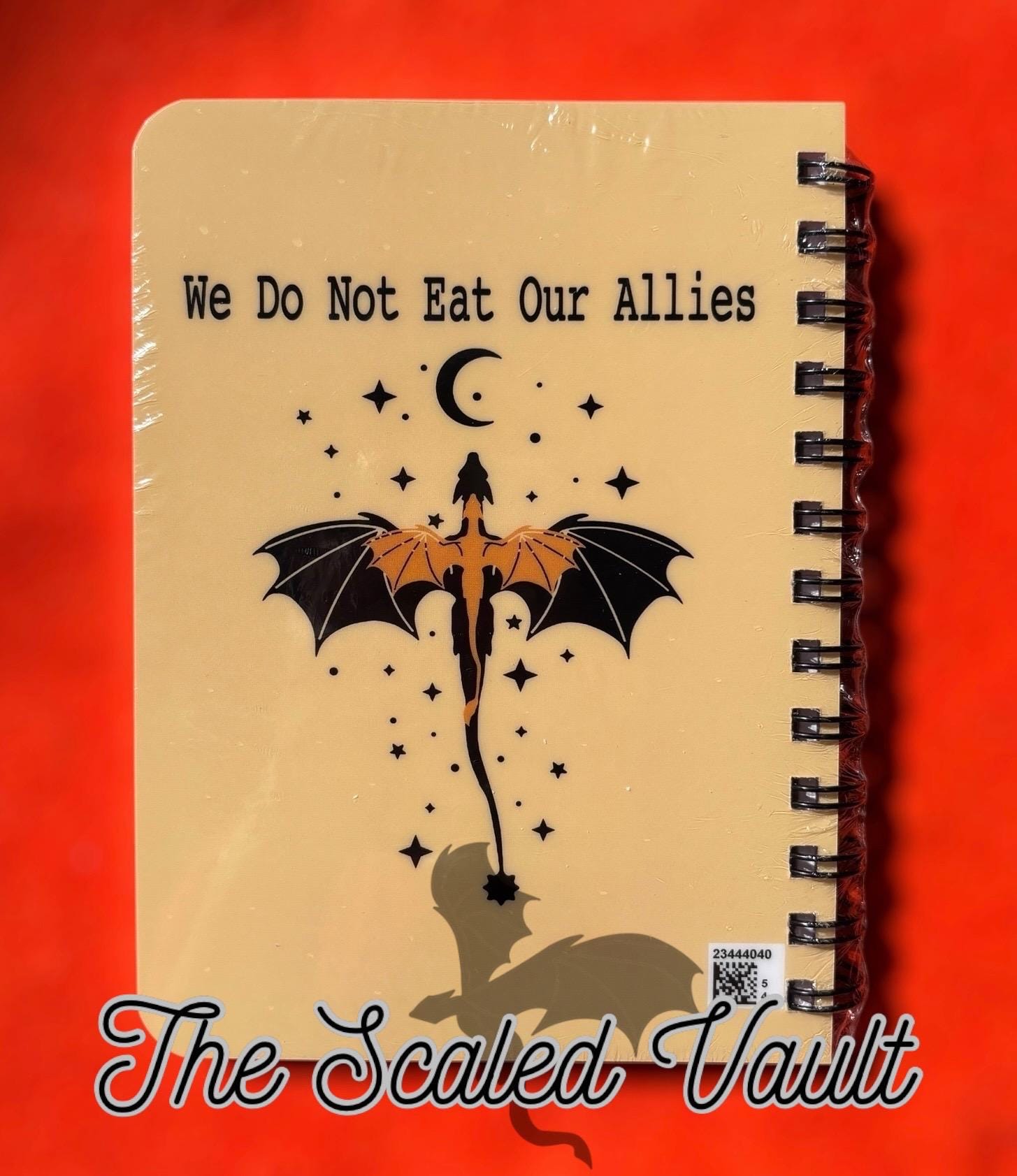 Dragon Riders Notebook